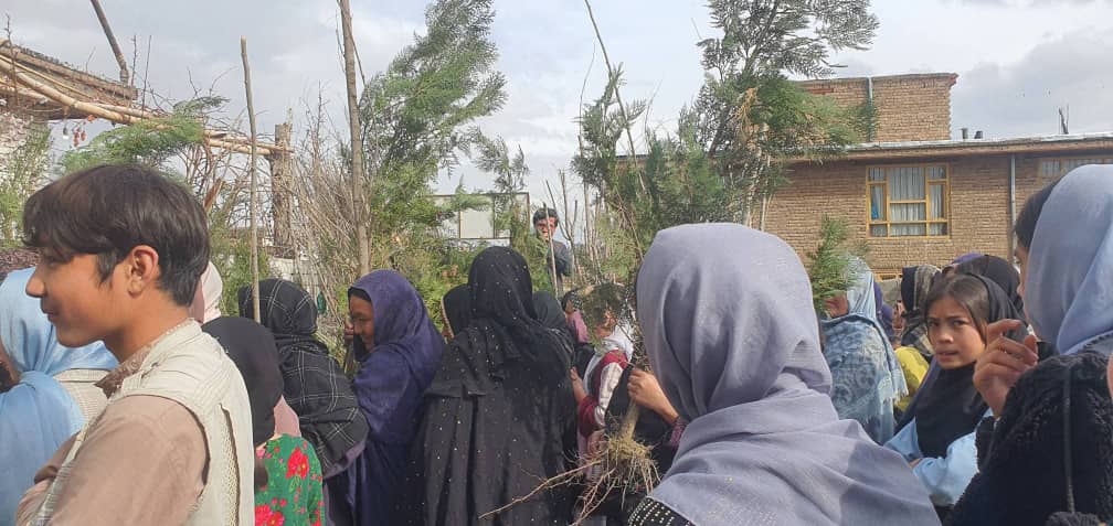 Distribution of 850 Saplings in Kata Balandi Area by ECAO